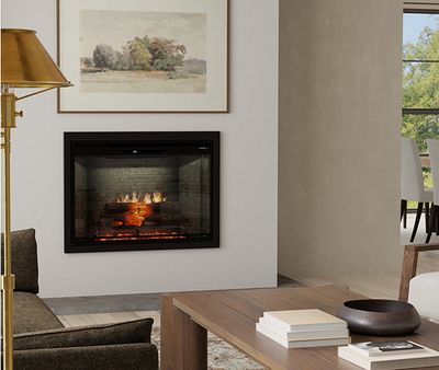 Dimplex: Revillusion Built-In 24" - primary view