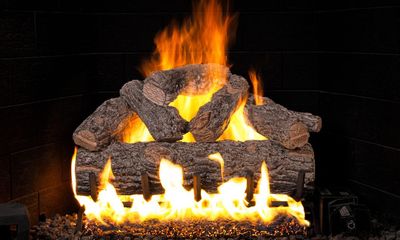 RH Peterson: Golden Oak Designer Plus Flame Enhanced Logs - 30" - primary view